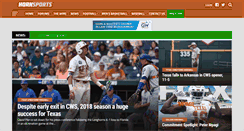 Desktop Screenshot of hornsports.com